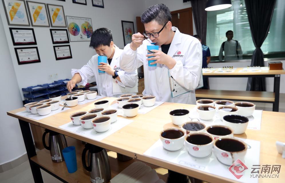 1563955959618314.jpg 1563955959618314.jpg