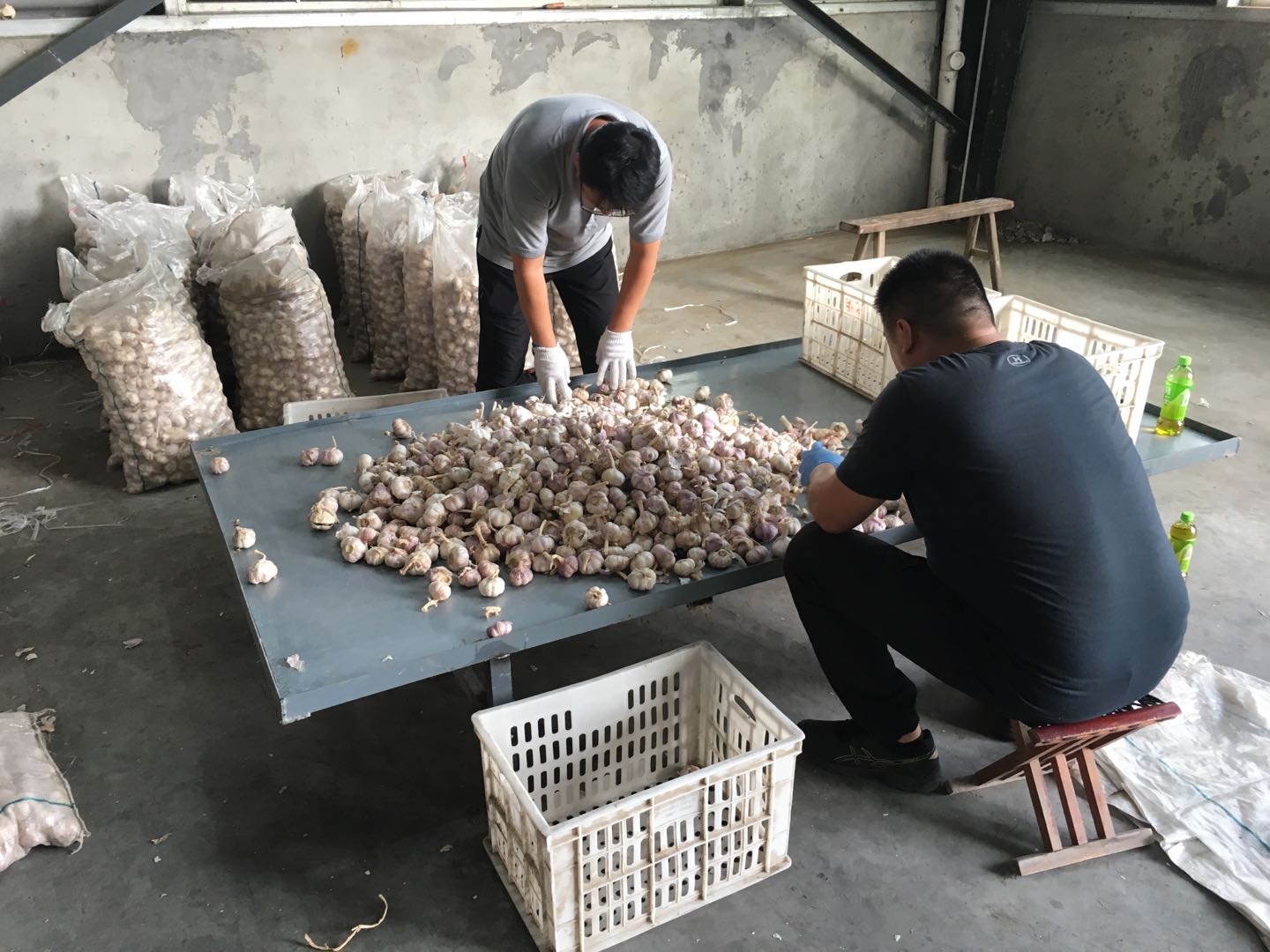 1566539750202876.jpg 1566539750202876.jpg