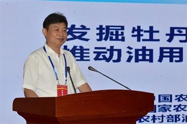 1598317201653844.jpg 3.webp.jpg