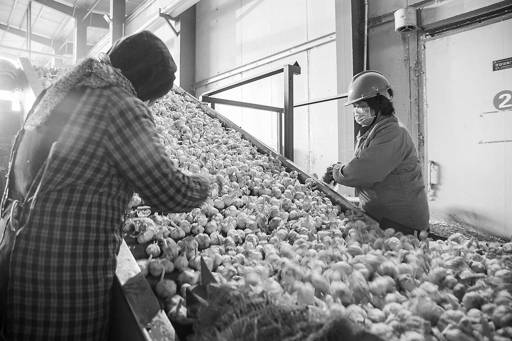 1603675771562696.jpg 1603675771562696.jpg