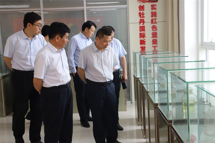 1621485188175679.jpg 7.jpg